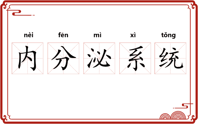 内分泌系统