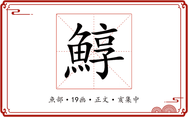 鯙