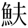 𩵩