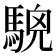 𩤖