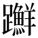 𨇤