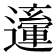 𨘙