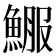 𩸤