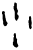 少(甲骨文·商·𠂤宾间)