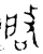 啟(金文·西周·西周早期)