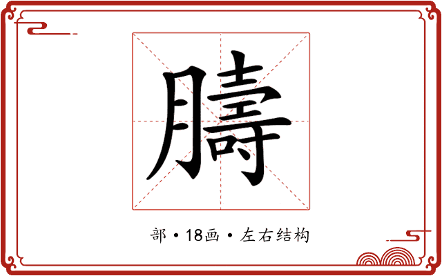 𦡴 𦡴